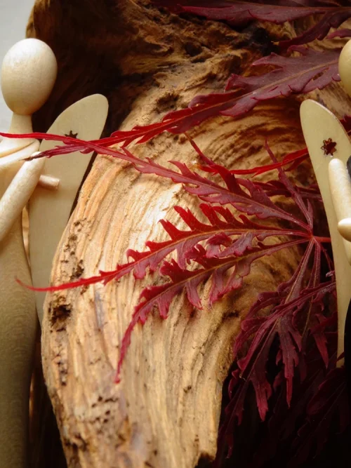 Sternkopf-Engel Mini Ahorn Palisander