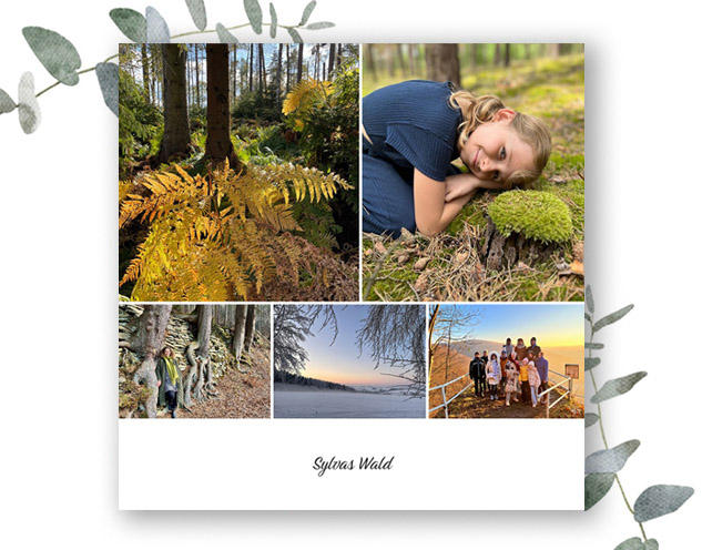 Fotobuch "Sylvas Wald"
